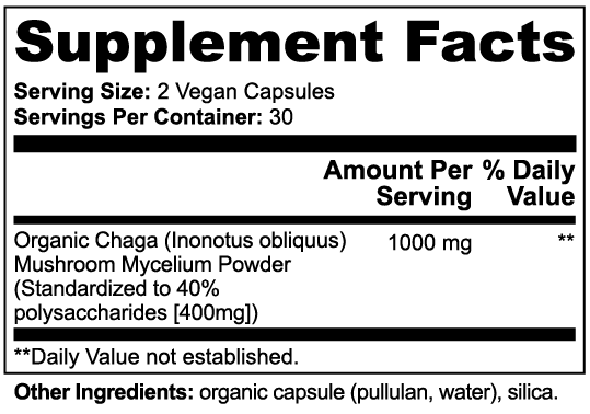 Seta Chaga